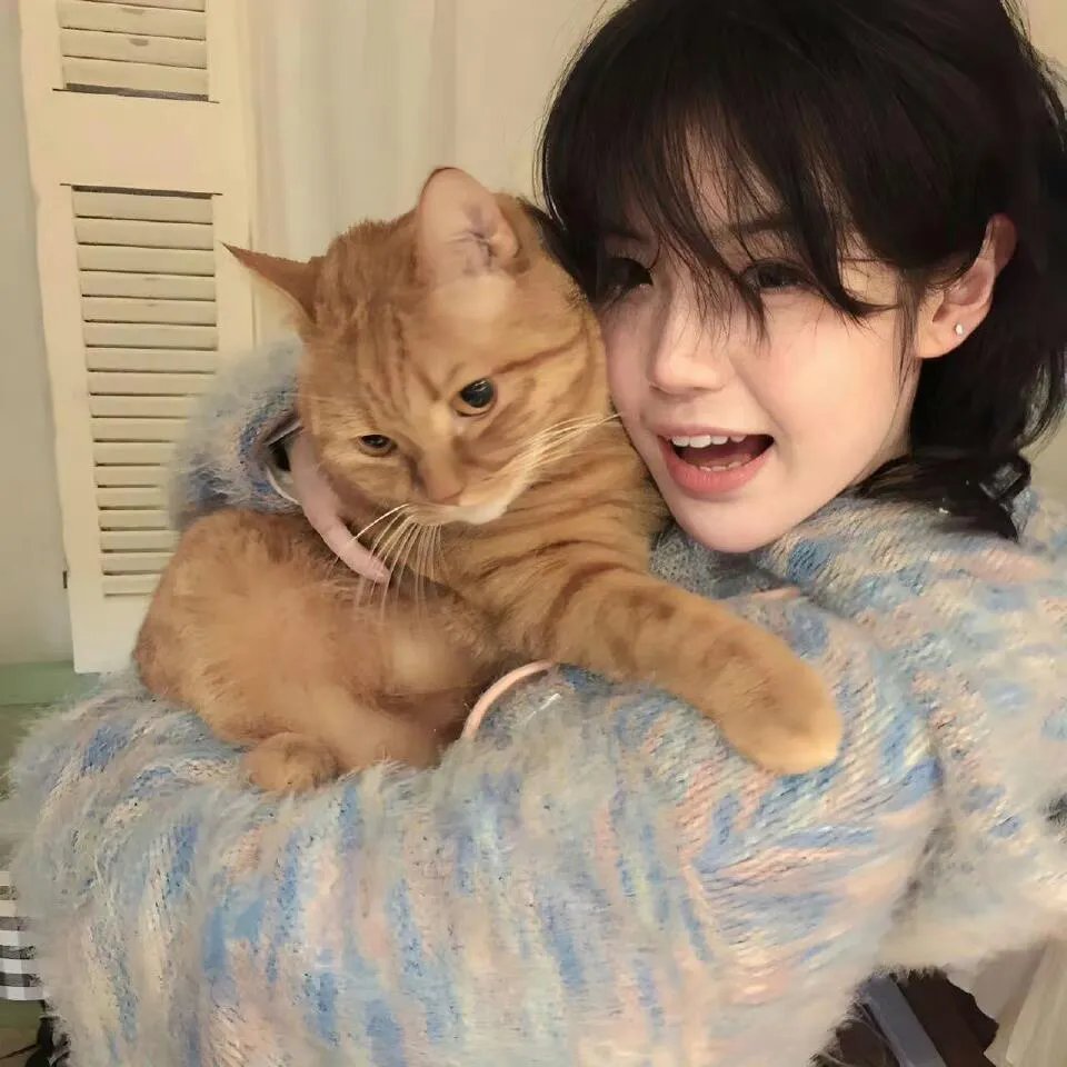 江山美人