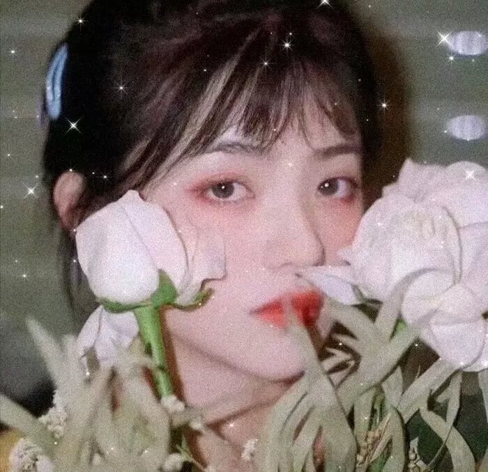 绝代艳姬